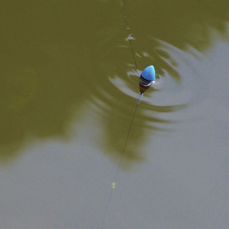 RGM ROOSTER GEAR MARKET Ready to Fish! spec.1 300 専用仕掛け 浮き